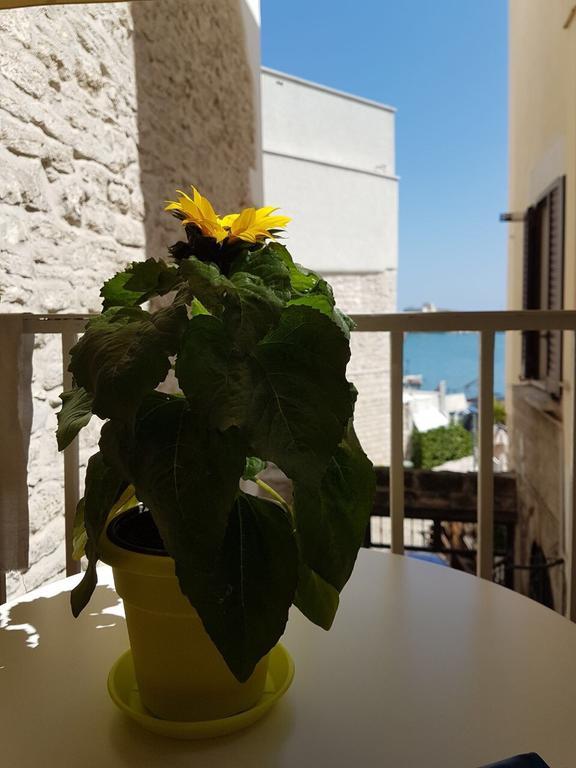 La Banchina Holiday Rooms Трани Экстерьер фото